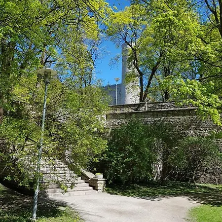 Kaarli Avenue * Таллин